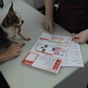 Preventive & Wellness Care