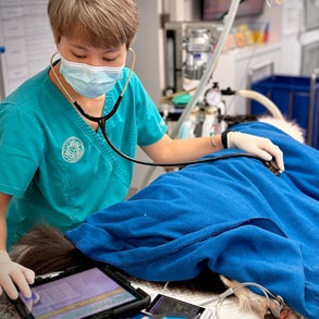 Surgery & Advanced Procedure